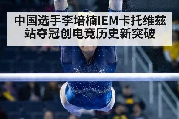 中国选手李培楠IEM卡托维兹站夺冠创电竞历史新突破